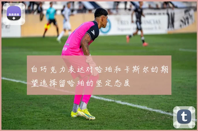 白巧克力表达对哈珀和卡斯尔的期望选择留哈珀的坚定态度